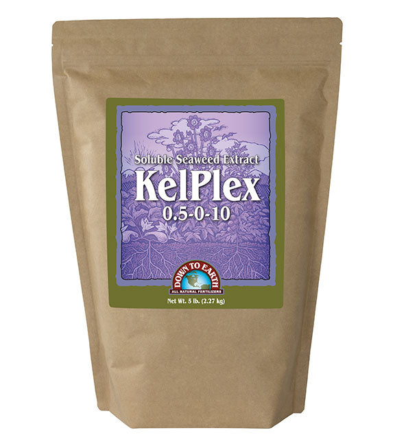 Down To Earth Kelplex Seaweed Powder - 5 lb