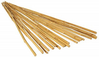 GROW!T 8' Bamboo Stakes, Natural, pack of 25