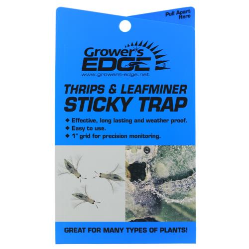 Grower's Edge Thrips & Leaf miner Sticky Trap 5/Pack (80/Cs)