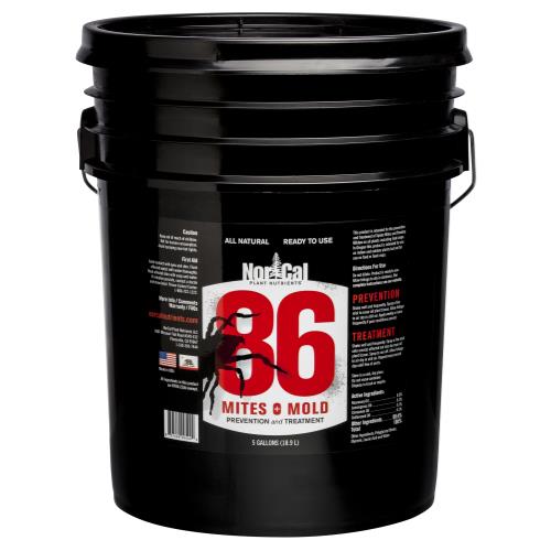 86 Mites and Mold 5 Gallon RTU (1/Cs)
