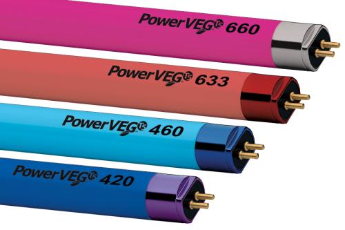 Eye PowerVEG Multi-Color Pack 4 ft 54W T5 (24/Cs)