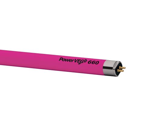 Eye PowerVEG 660 4 ft 54 watt HO T5 (24/Cs)
