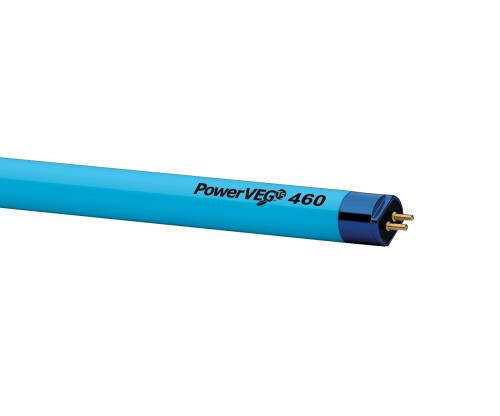 Eye PowerVEG 460 2 ft 24 watt HO T5 (24/Cs)