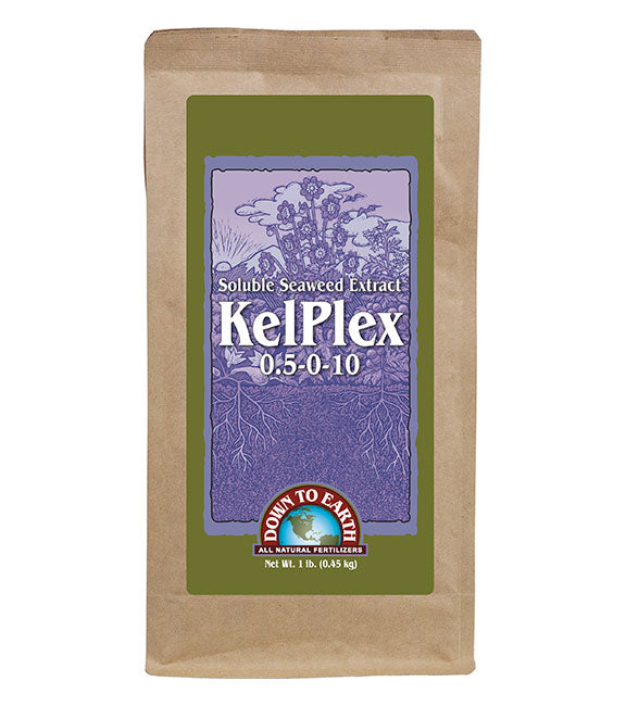 Downt To Earth Kelplex Seaweed Powder - 4 oz